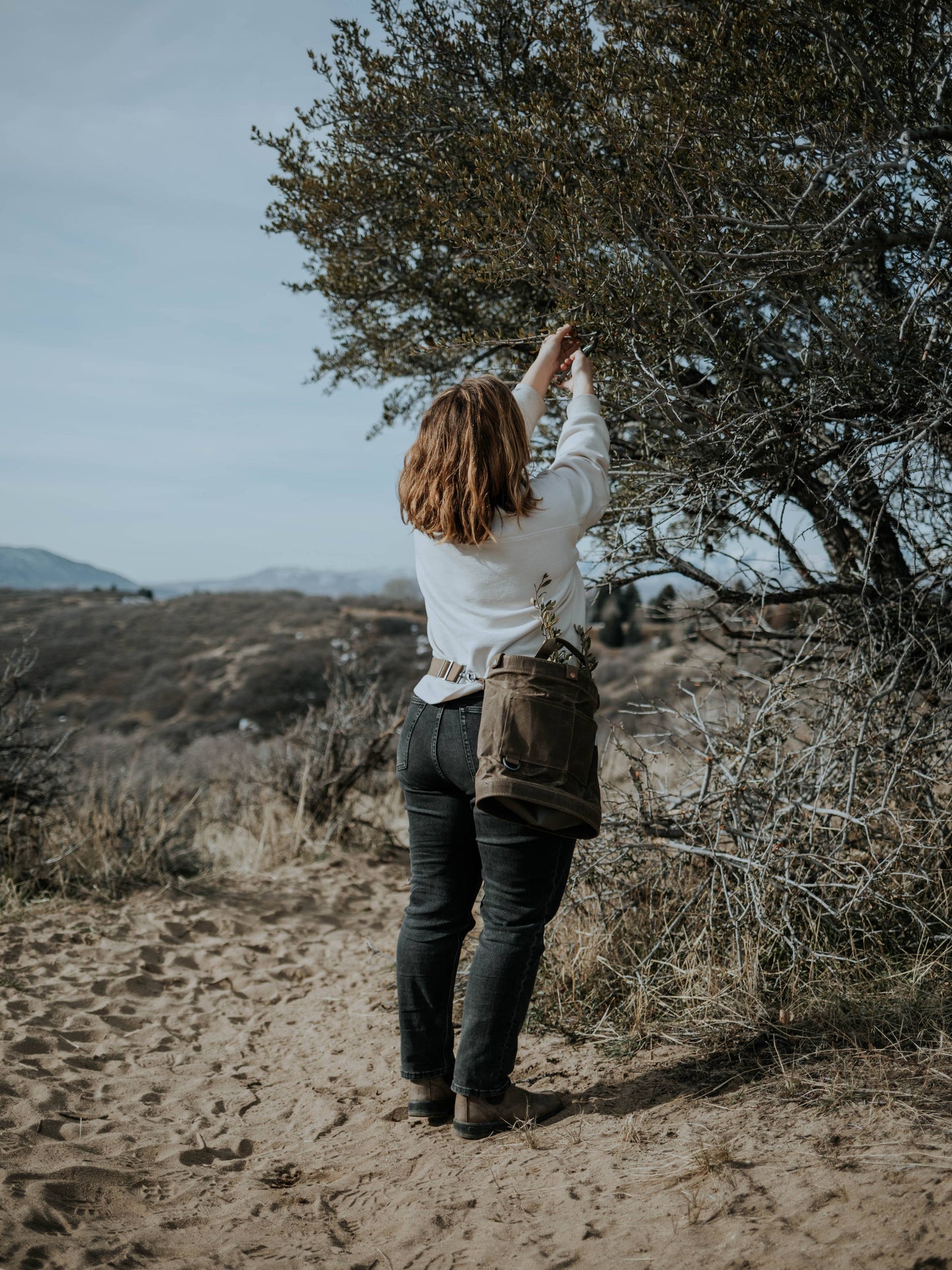 Foraging Bag by Barebones