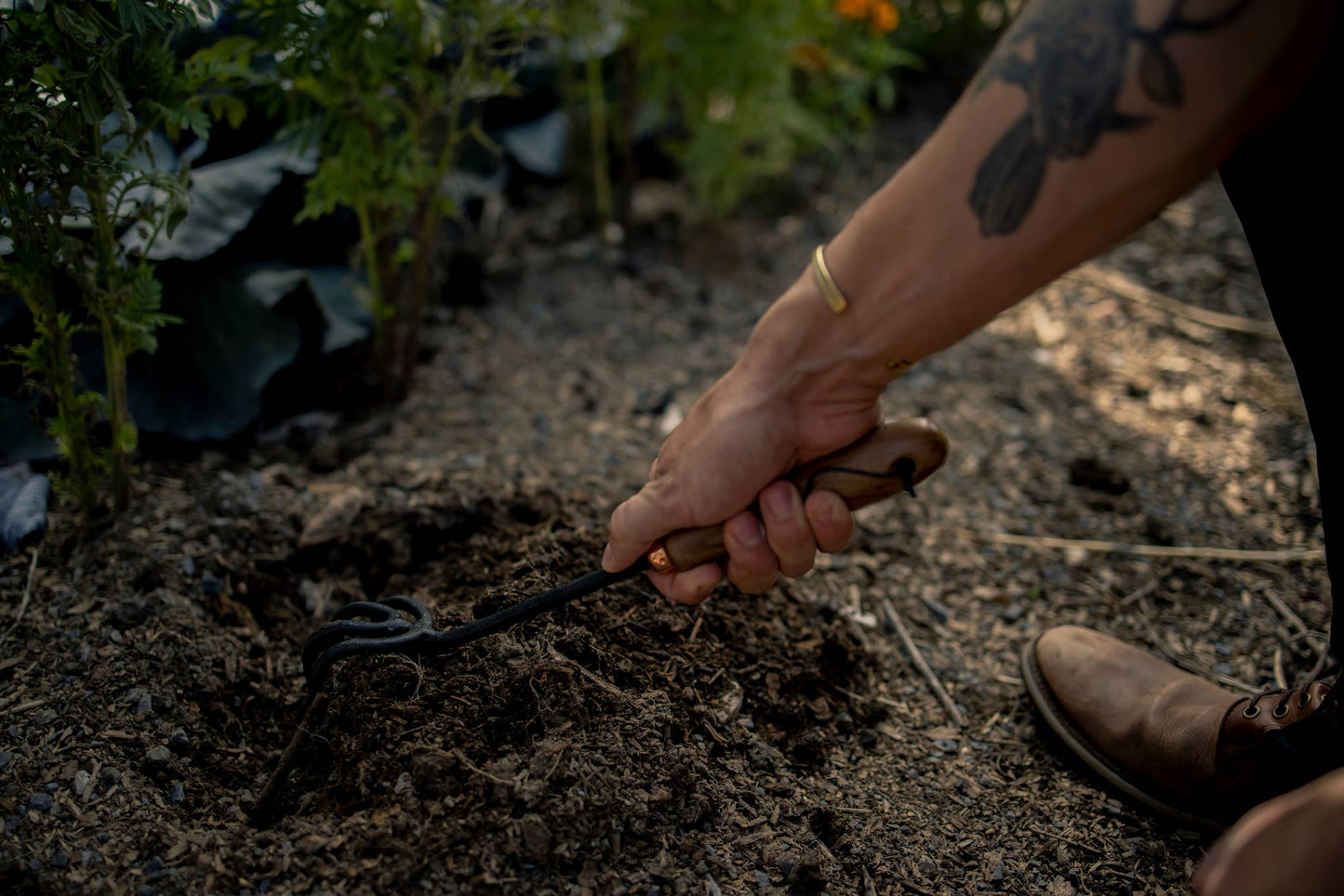 Barebones Cultivator Garden Tool