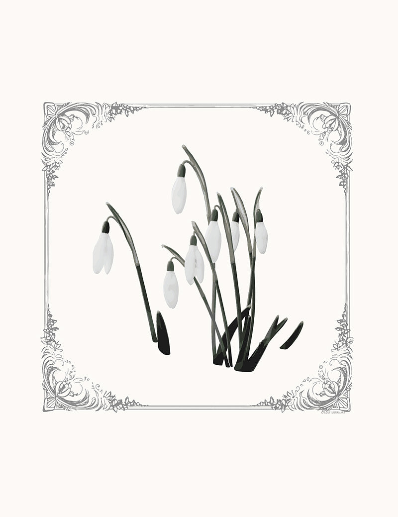 Snowdrop Framed Poster Light 11 x 14 Inches