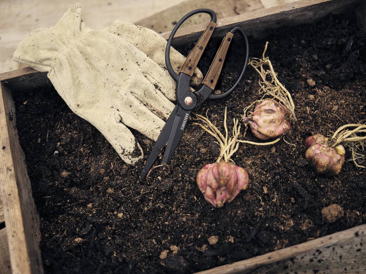 barebones garden scissors Barebones Garden Scissors