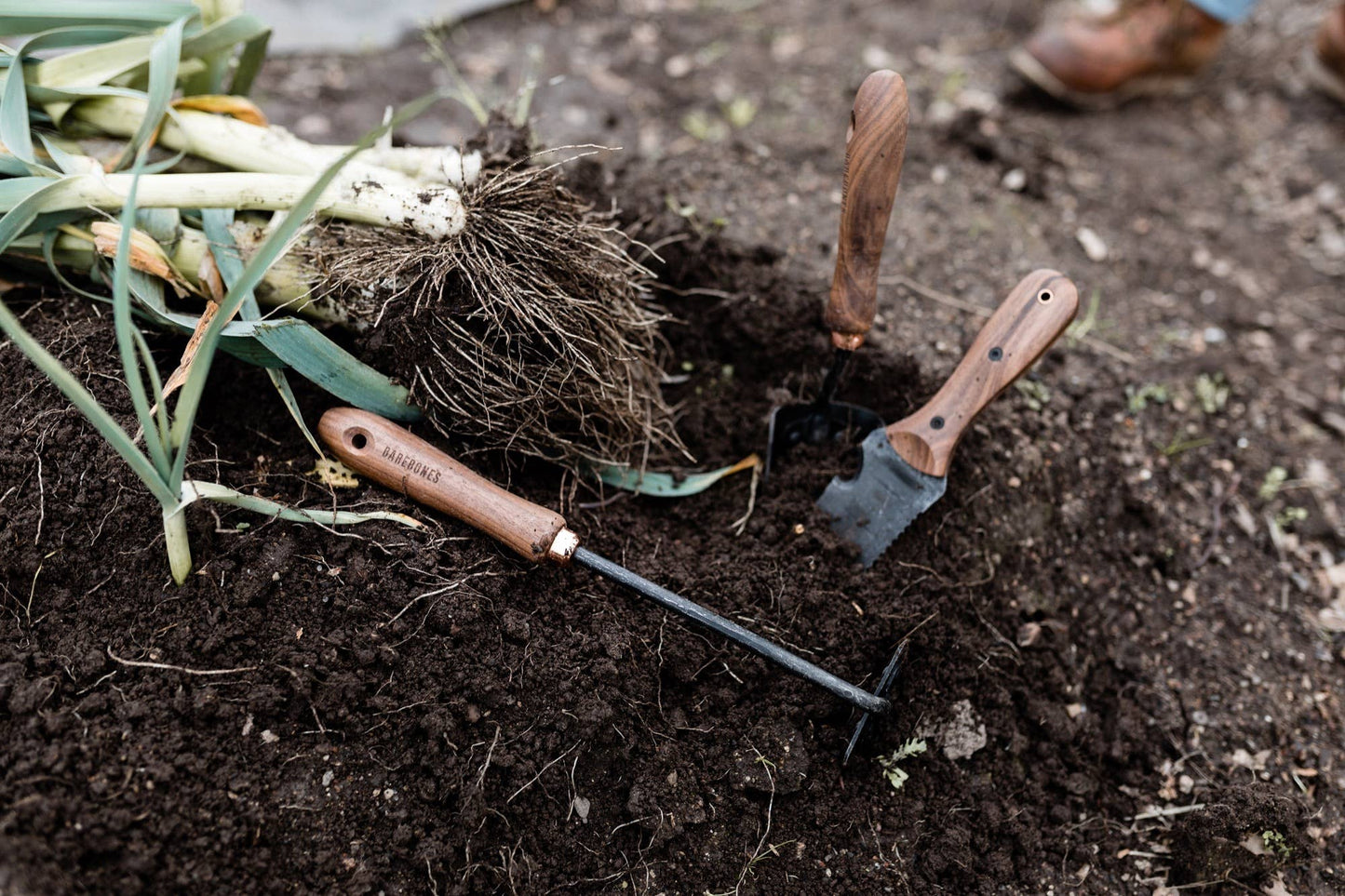 Walnut Square Hoe by Barebones.