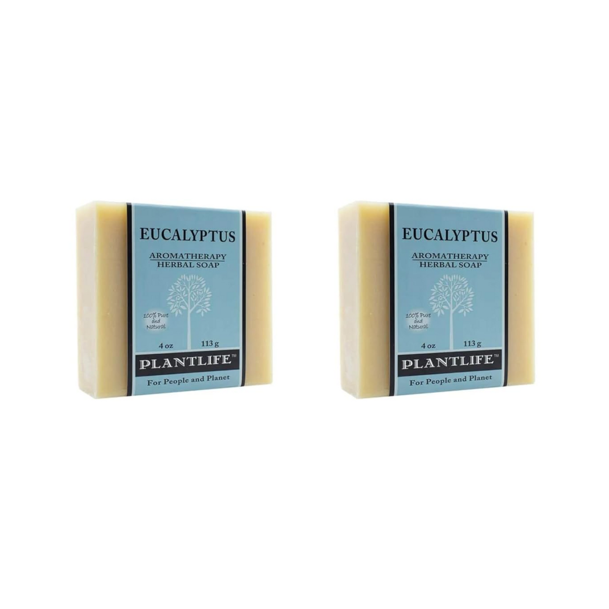 Eucalyptus Bar Soap