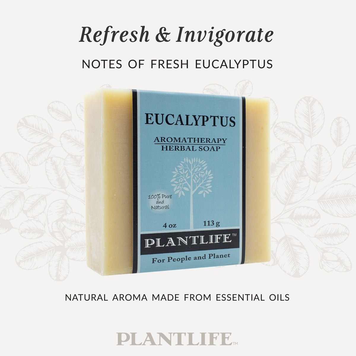 Eucalyptus Bar Soap