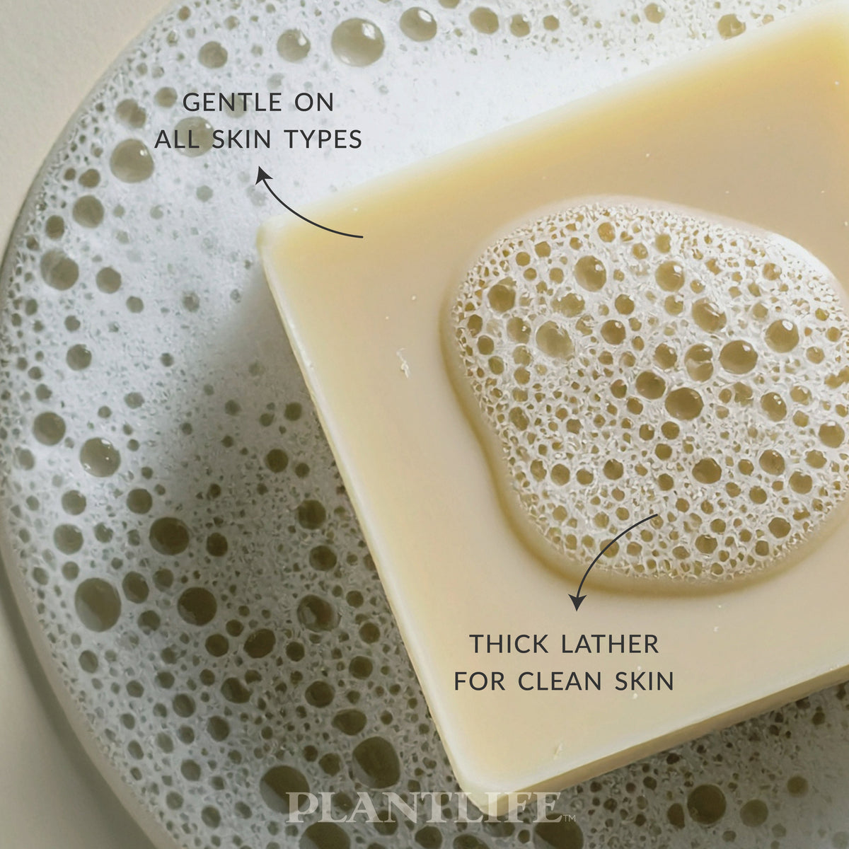 Eucalyptus Bar Soap