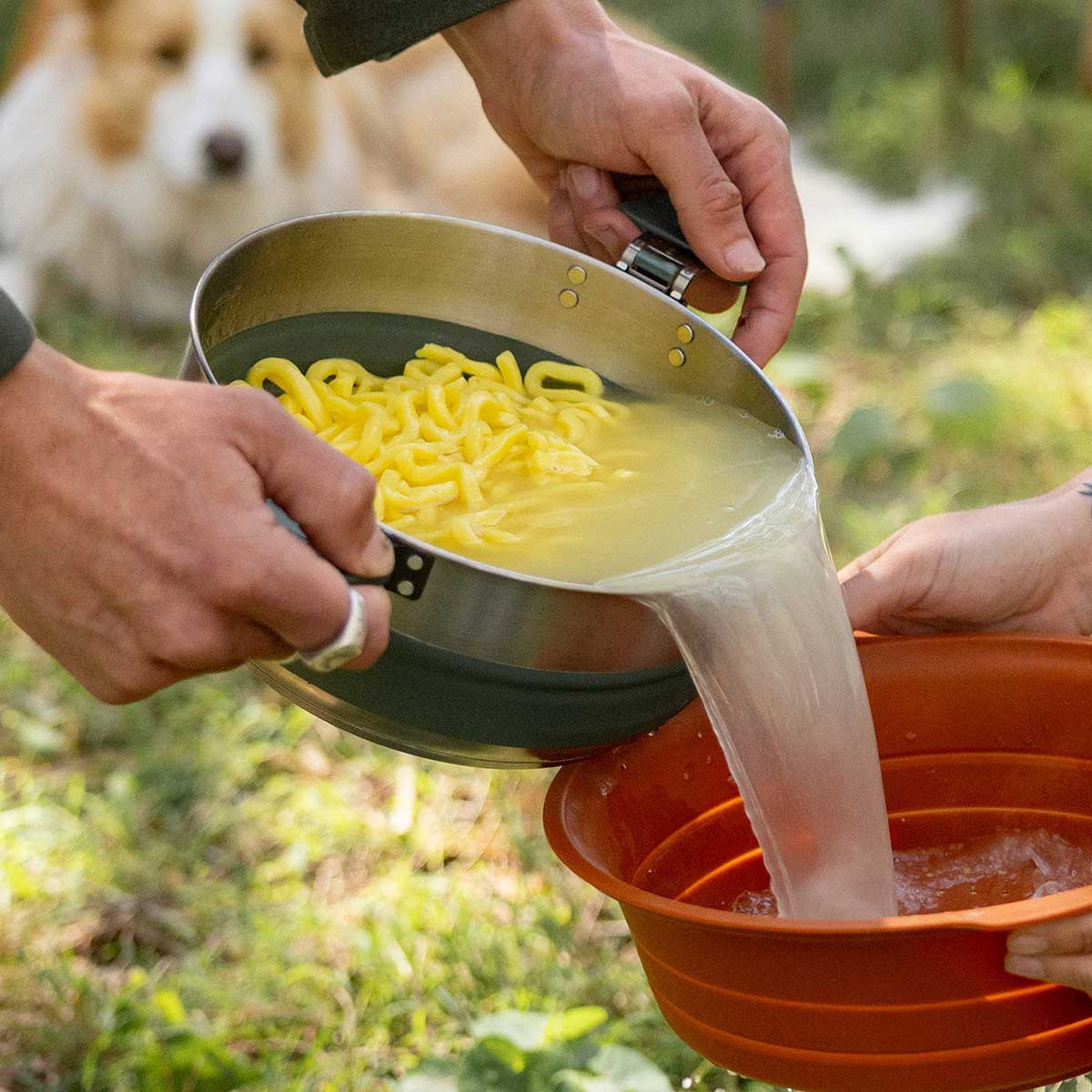 Detour Stainless Steel Collapsible Pot - 3 Liter  Laurelwreath Green